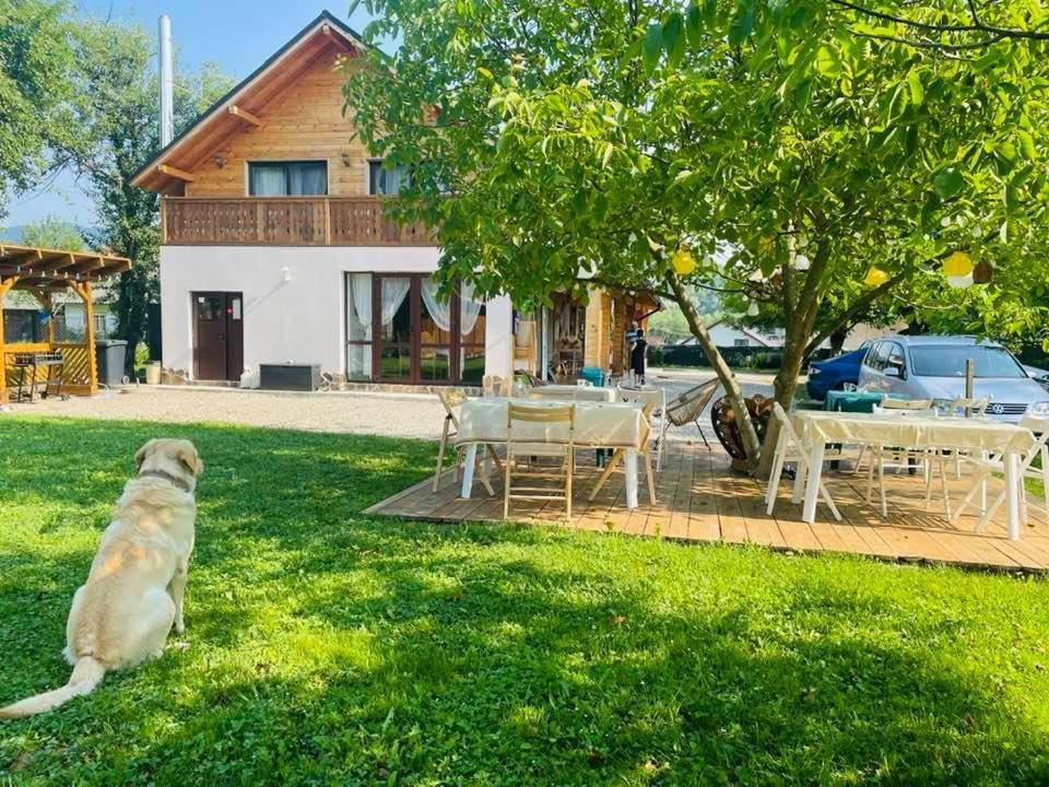 Gradina Lu' Ion "A Home Away From Home" (Adults Only) Вишеу-де-Сус Экстерьер фото