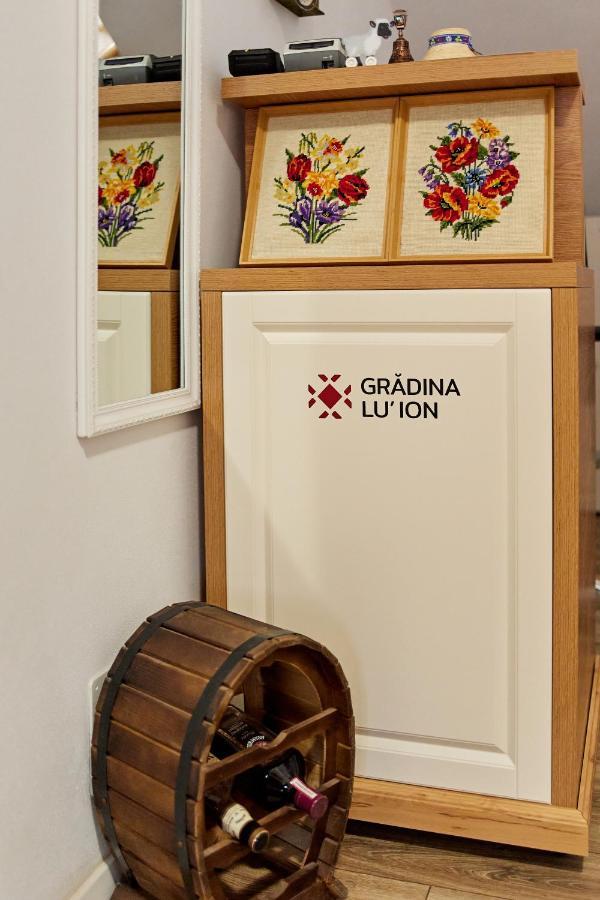 Gradina Lu' Ion "A Home Away From Home" (Adults Only) Вишеу-де-Сус Экстерьер фото